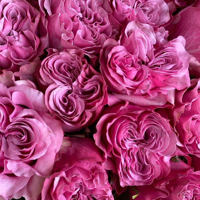 Букет из 49 розовых роз - фото 2