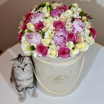 Букет Харли Квинс с розами и пионами в шляпной коробке - фото 1