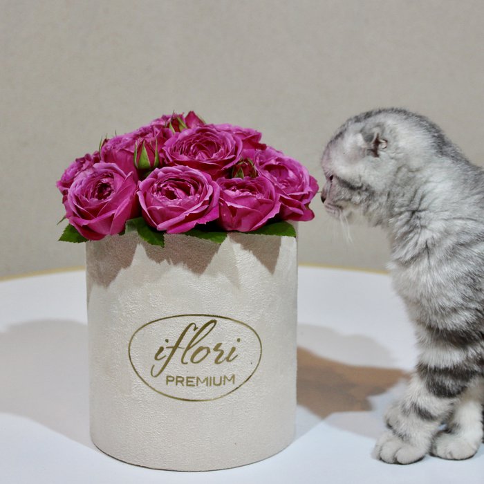Букет Хлоя комплимент с пионовидной розой в шляпной коробке - фото 4