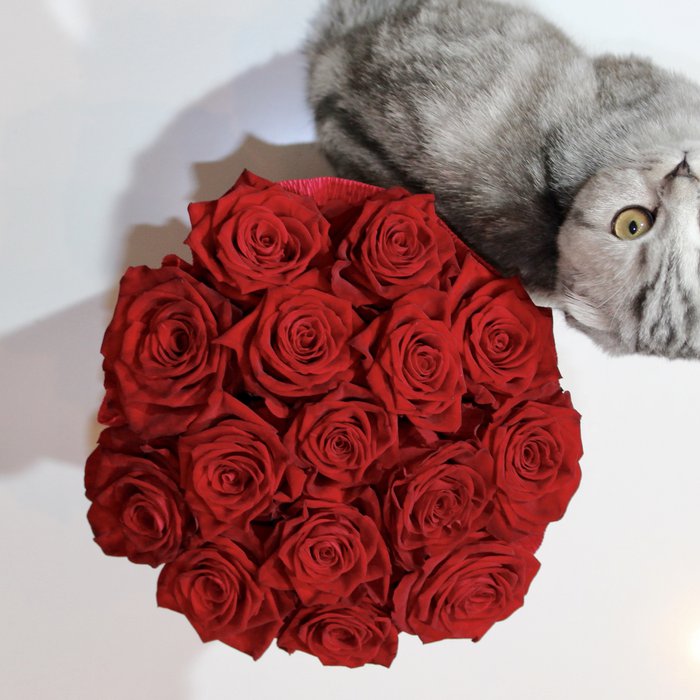 Букет Наоми комплимент с красными розами в шляпной коробке - фото 2