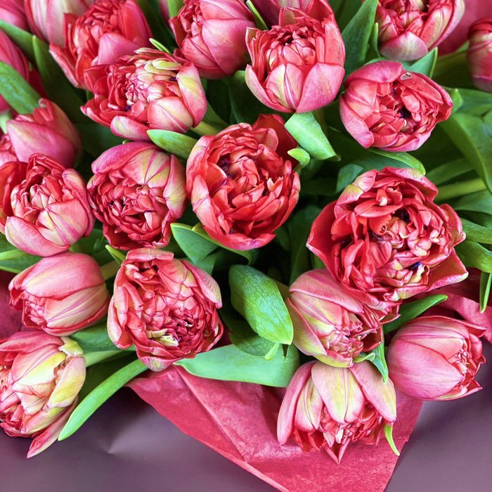 Букет Никс с тюльпанами - фото 2